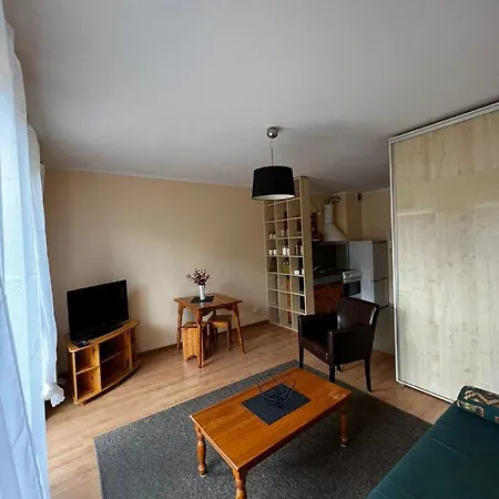 Apartament Z Tarasem W Centrum Miasta Wynajem *